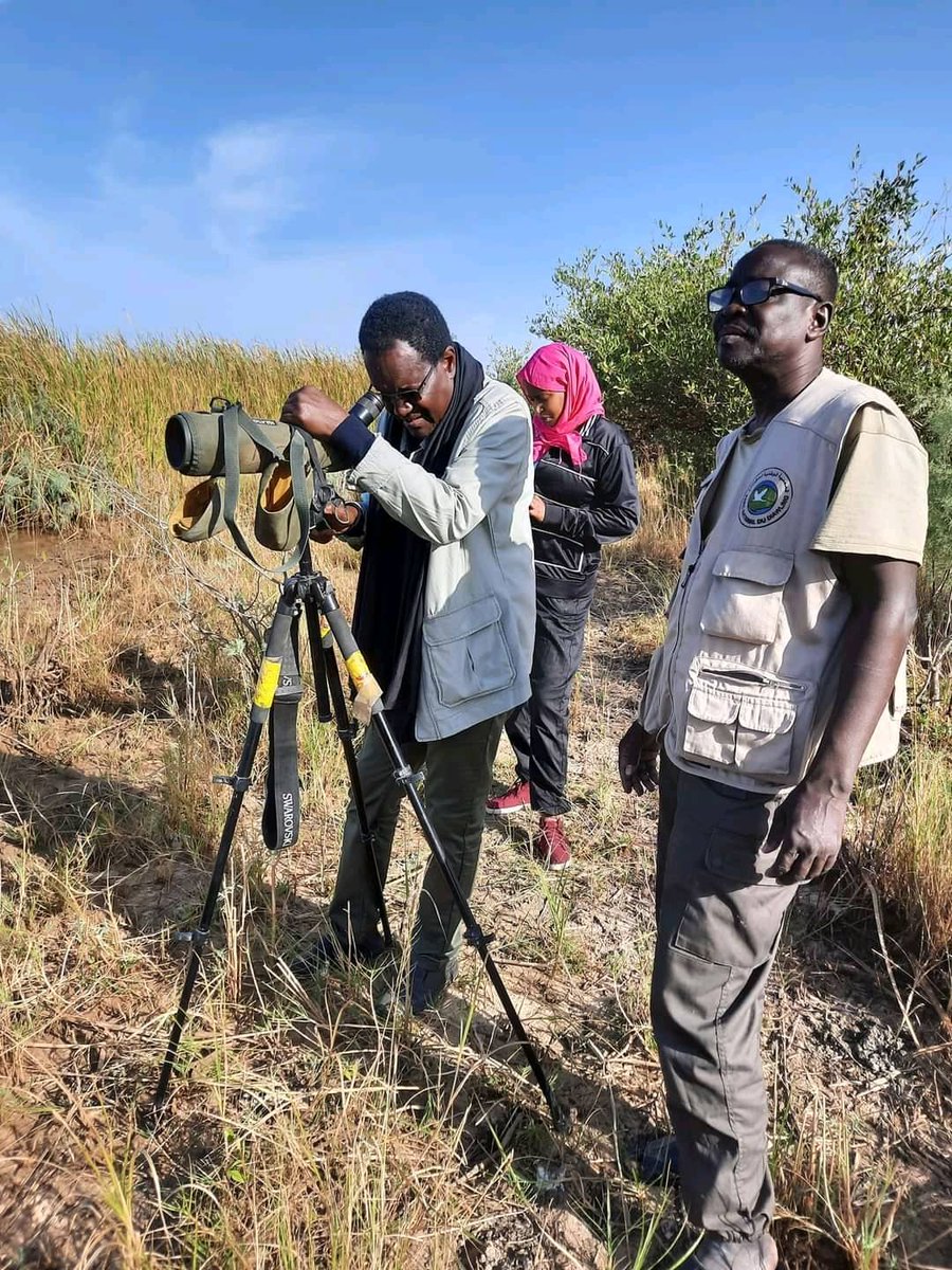 Parc National du Diawling tweet media