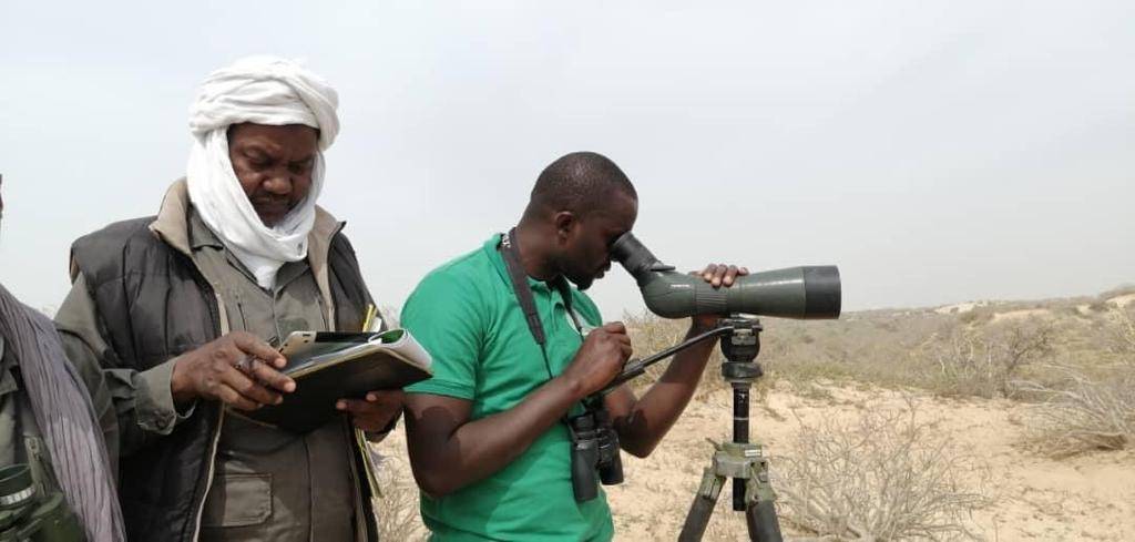 Parc National du Diawling tweet media