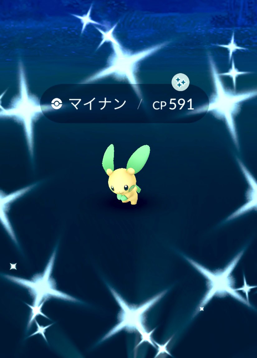 マイナン色違い Twitter Search Twitter