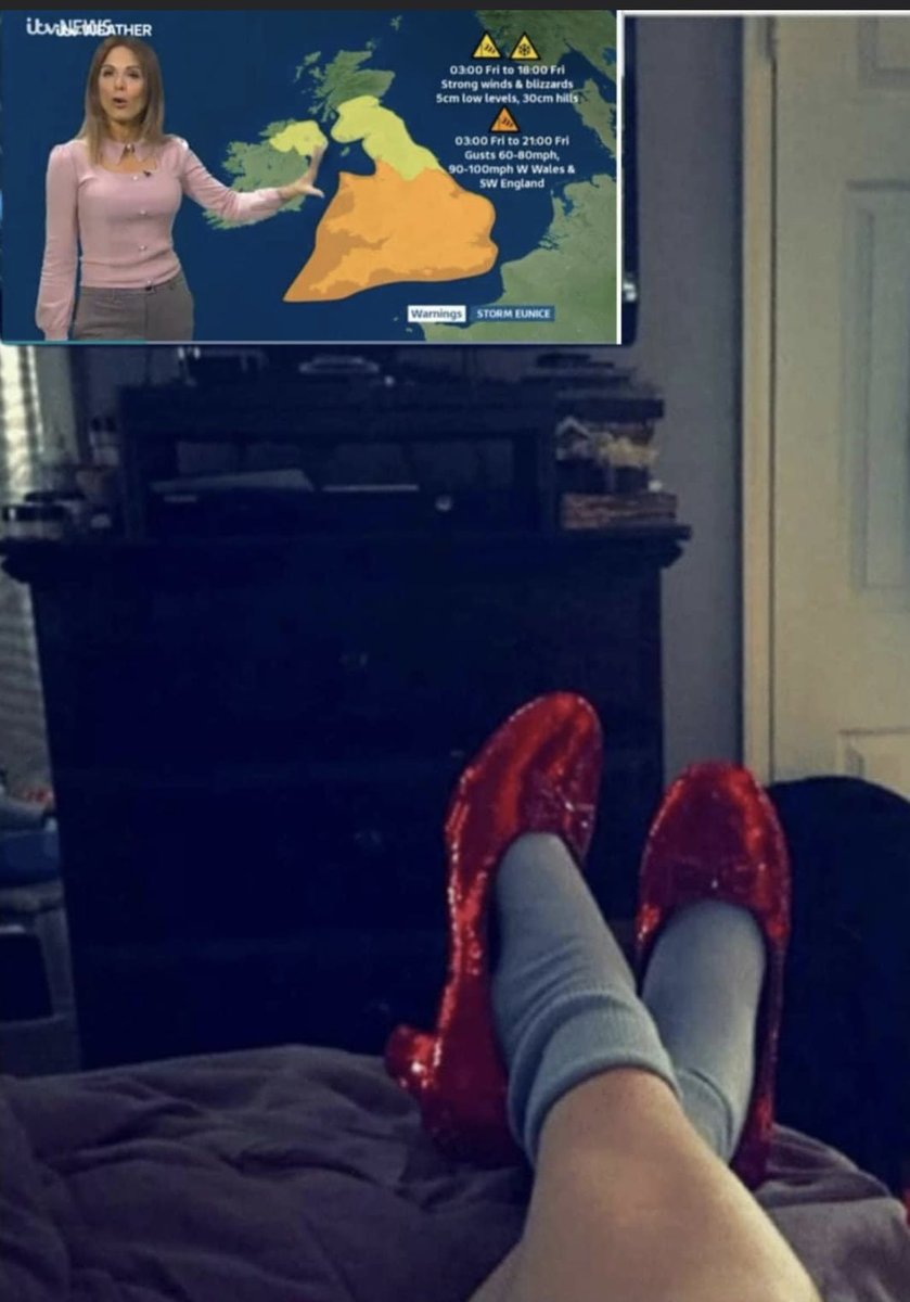 Popoutpugs's tweet photo. 👠🧙🏼‍♀️🐒 https://t.co/sf7oMiAI1n
