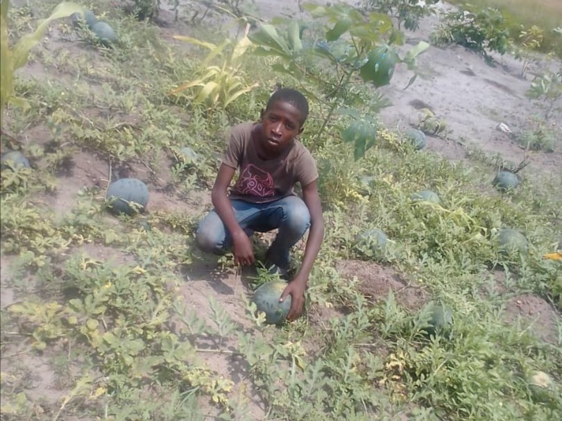 Gabon Famille Verte tweet media