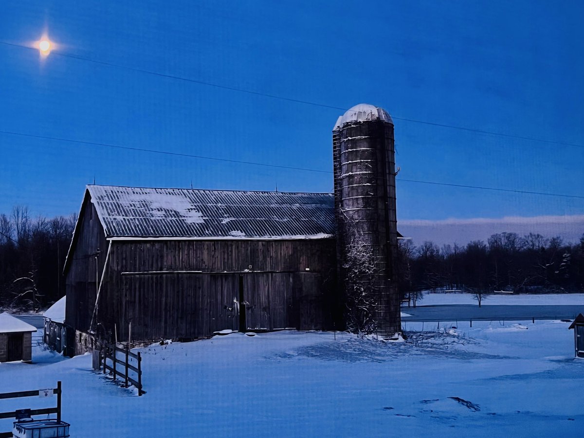 bitsropesnspurs's tweet photo. #snowday here …. Still have to go feed the animals though #winter #cowsgottaeat #animals #snowy #itswarmerinbed #farming https://t.co/xQQHLfmYiK