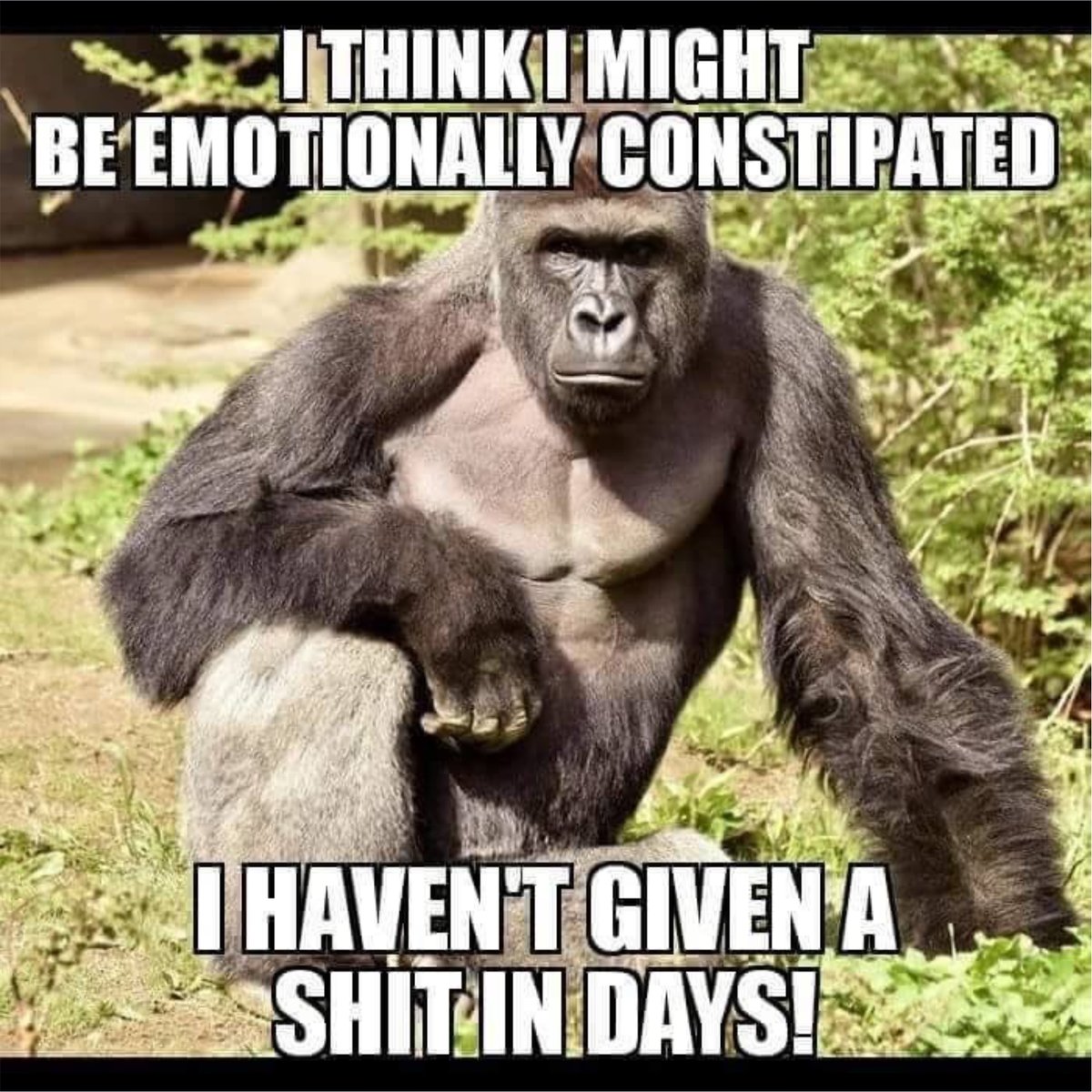 WhoIsAPratt tweet media