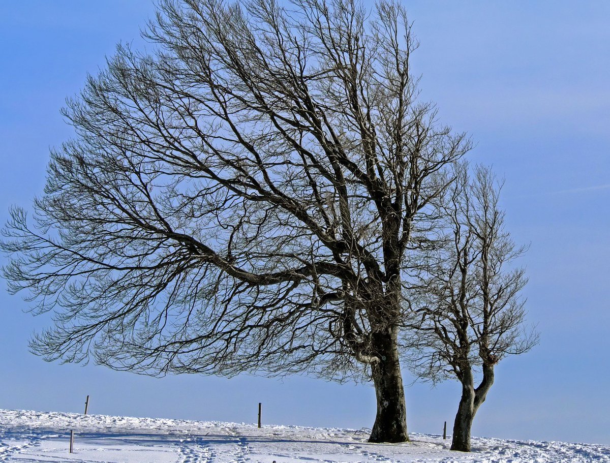 LBS_LibraryTeam's tweet image. Friday 18th February

The Library help desk will close 16:00hrs today -  but remote help will be available until 19:00hrs. You can still access the book stock and borrow print books using the self issue kiosks. #lbslibrary