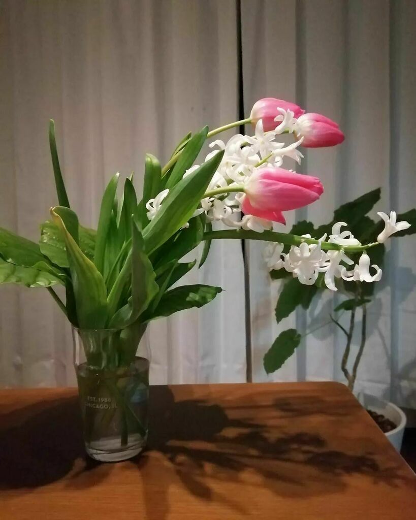 スーパーの花 Twitter Search Twitter