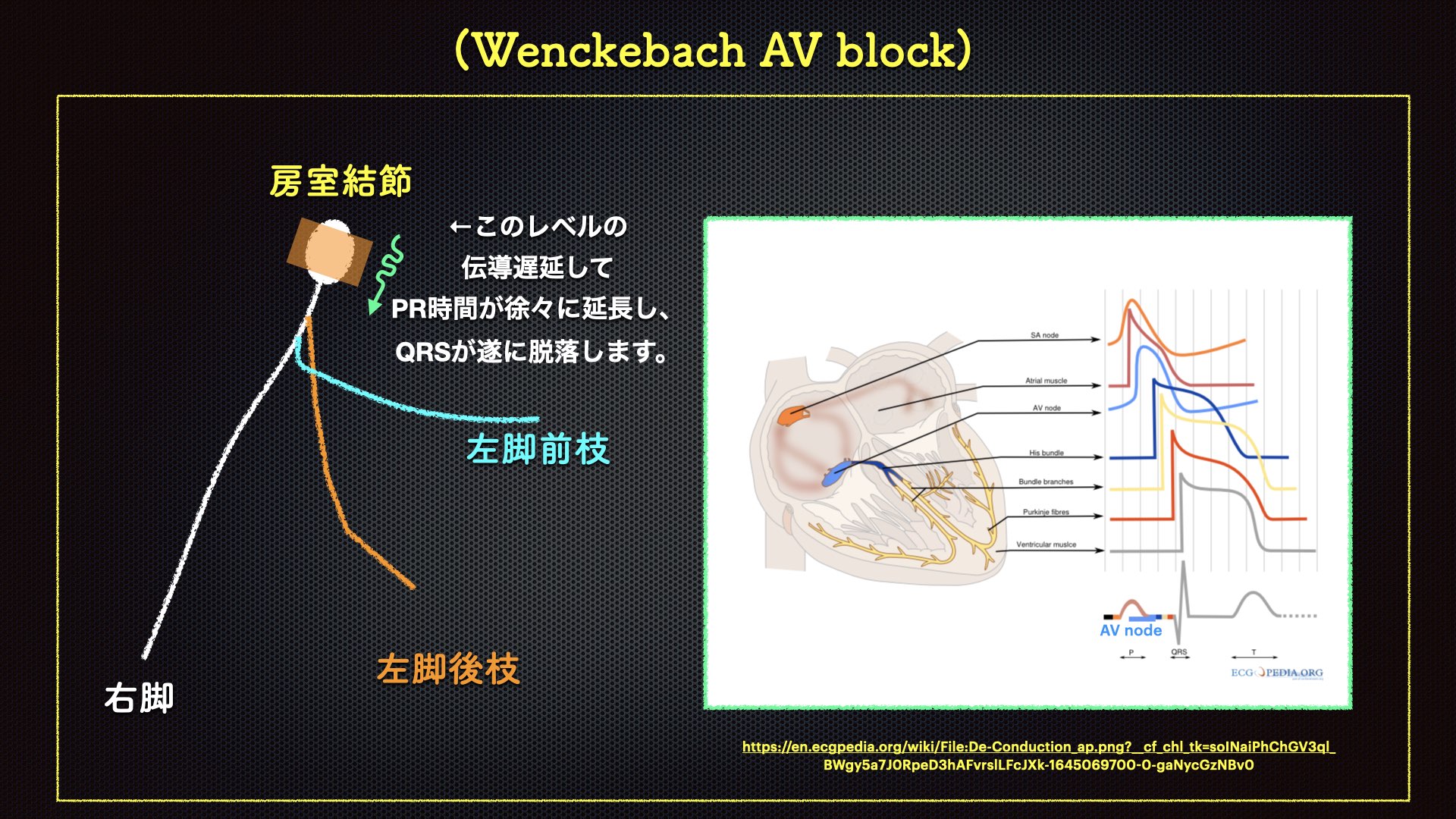 N. Tsukishima EP大学心電図検定学部試験対策科担任 على X