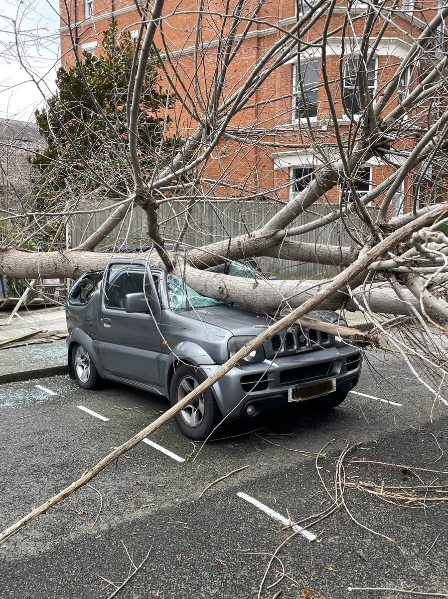 ComptonReeback1's tweet photo. Tree down in Castellain Road, Maida Vale W9. Stay safe everyone….. https://t.co/5BwZUvQjHe