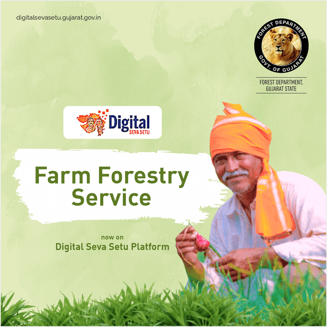 The Forest Department has integrated the Farm Forestry Service on #DigitalSevaSetu. Such a step will make crucial welfare services accessible from over 14000+ eGram centres. @narendramodi @PMOIndia @moefcc @CMOGuj @bhupendrapbjp @AshwiniKChoubey @KiritsinhJRana @MLAJagdish