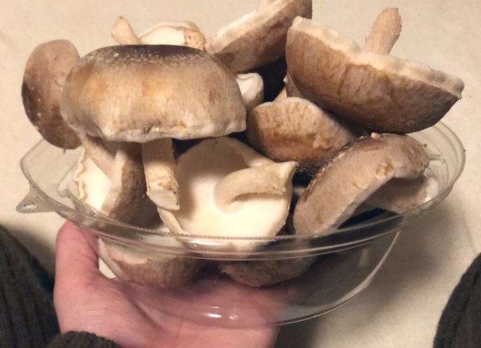 ほんとにすごい量なんだよ…? 