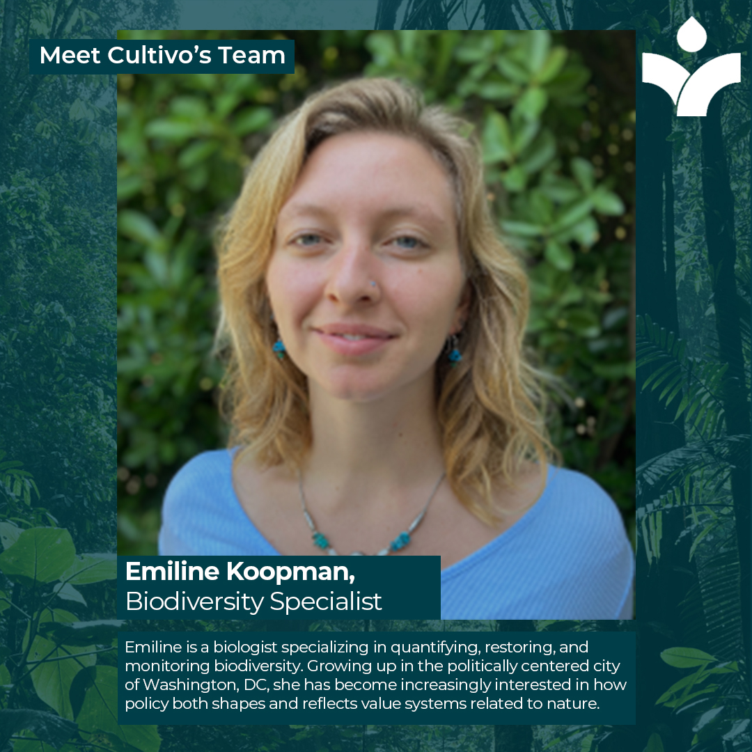 Meet Emiline Koopman, our Biodiversity Specialist who specialises in quantifying, restoring, and monitoring biodiversity. Learn more about the Cultivo team here- cultivo.land/company/about-… #investinnature #naturalcapital #biodiversity #sustainability #nature