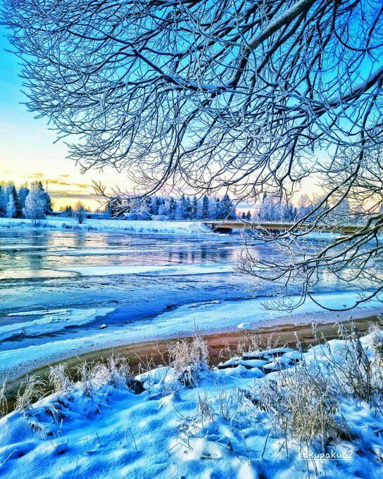 Goins (@margarettegoins) on Twitter photo 