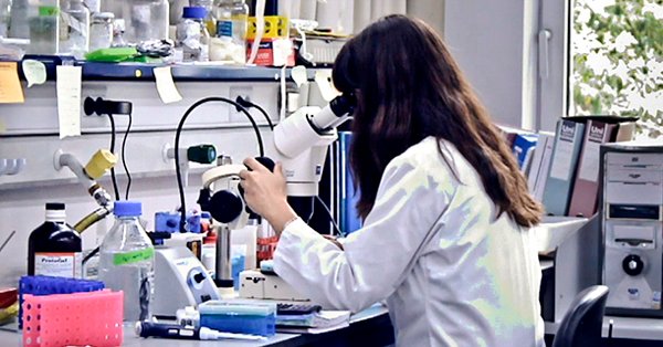 Conoce toda la actualidad y la agenda semanal de los centros del <a href="/CSIC/">CSIC</a> en la Comunitat Valenciana, en nuestro boletín #SemanaCSIC:

delegacion.comunitatvalenciana.csic.es/wp-content/upl…

<a href="/NeuroAlc/">Instituto de Neurociencias UMH-CSIC</a> | <a href="/CidEinvestiga/">CIDEinvestiga</a> | <a href="/i3M_MITS/">i3M Medical Imaging and Therapy Systems</a> | <a href="/ITQ_UPVCSIC/">ITQ (UPV-CSIC)</a> | <a href="/i2sysbio/">I2SysBio</a> | <a href="/GVAfisabio/">Fundació Fisabio</a>