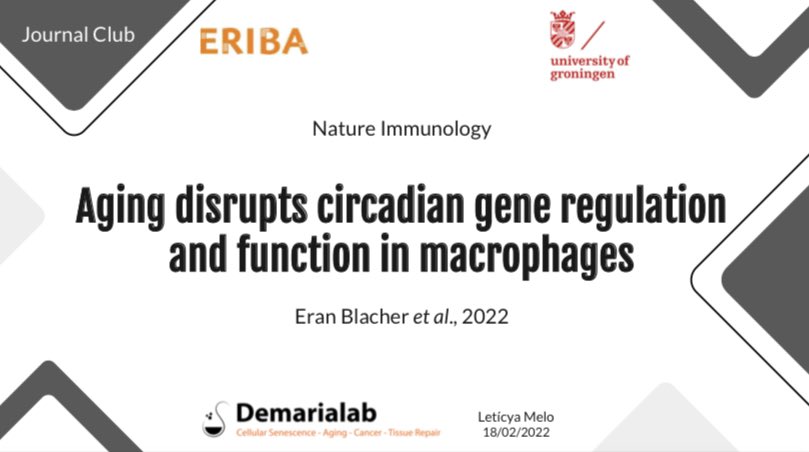 leticyamelos's tweet photo. Just presented my first journal club to the @Demarialab1. Very happy to begin to know every amazing person and project on this group. Thrilled to be in Groningen soon! https://t.co/fEuvkgJB6D