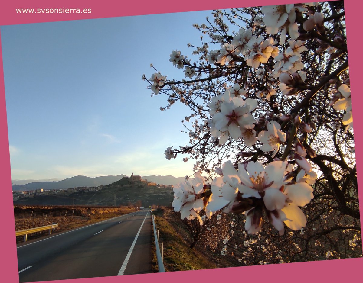 ¿Tú que prefieres, amanecer o atardecer? 🌅 Cuando la naturaleza comienza a despertar de su letargo yo prefiero los amaneceres, y más si son en #SVSonsierra.  🌸 Infórmate de nuestros recursos en  🖥️  svsonsierra.es , #temerecesLaRioja #destinoseguro con <a href="/lariojaturismo/">La Rioja Turismo</a>