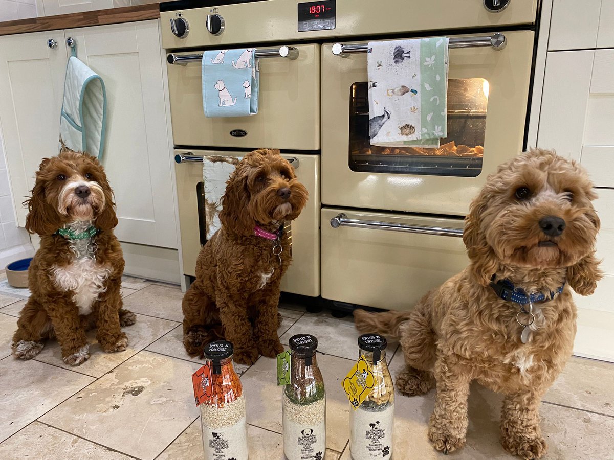 PottersCookshop's tweet photo. Meet the Potters-Poos! Dudley, Percy & Hatty are waiting to try out The Doggy Baking Co (by The Bottled Baking Co) doggy treats that we will be baking soon! Head to https://t.co/9MISl5rFM4 for fab dog gifts & WATCH THIS SPACE!!!
#cookshop #essex @BottledBaking #bakinggift https://t.co/hjf4YxCvc1