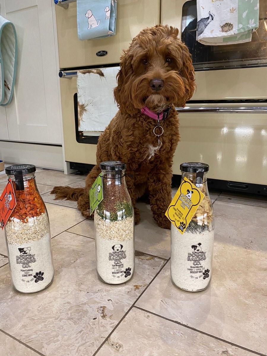 PottersCookshop's tweet photo. Meet the Potters-Poos! Dudley, Percy & Hatty are waiting to try out The Doggy Baking Co (by The Bottled Baking Co) doggy treats that we will be baking soon! Head to https://t.co/9MISl5rFM4 for fab dog gifts & WATCH THIS SPACE!!!
#cookshop #essex @BottledBaking #bakinggift https://t.co/hjf4YxCvc1