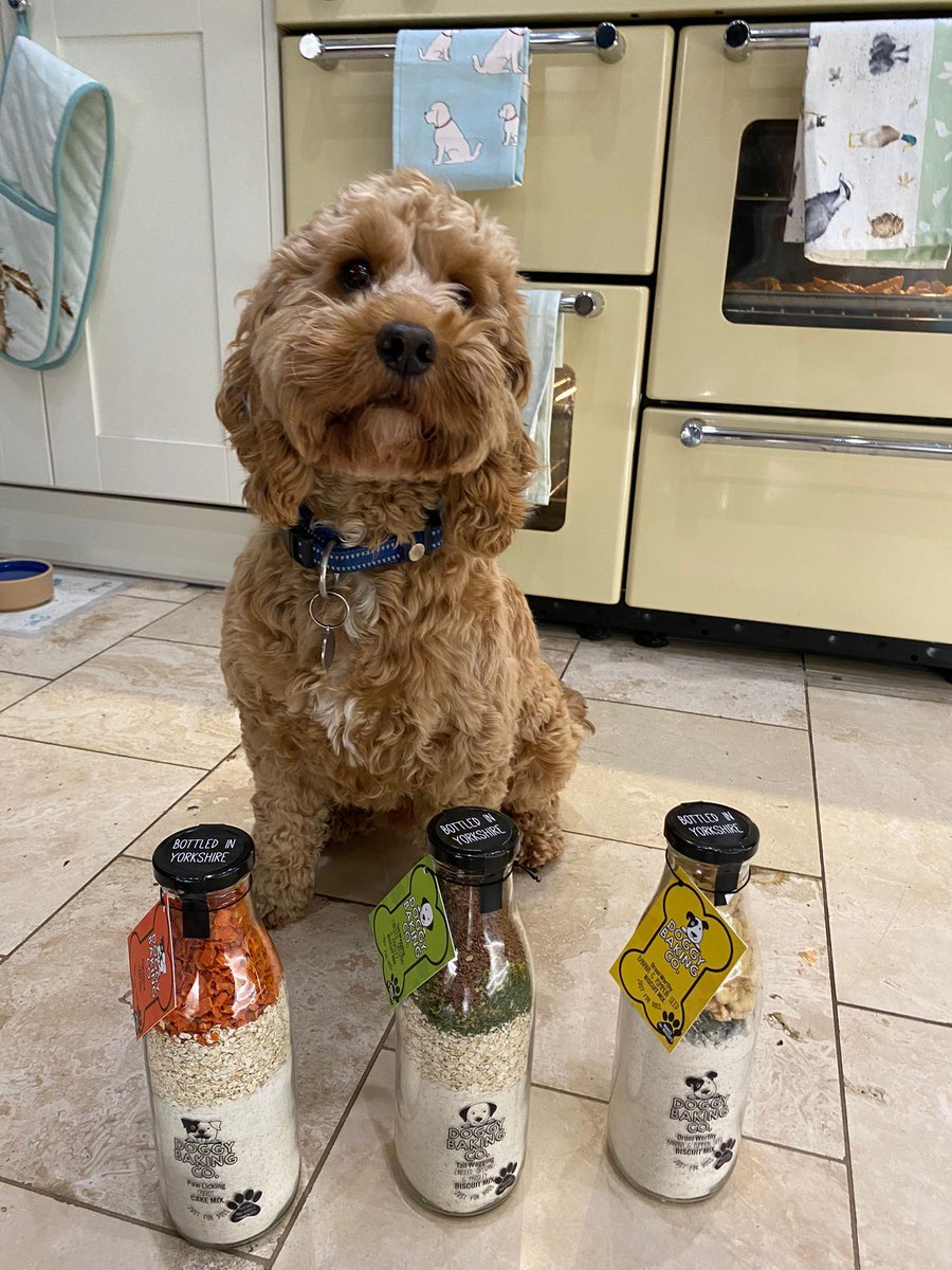 PottersCookshop's tweet photo. Meet the Potters-Poos! Dudley, Percy & Hatty are waiting to try out The Doggy Baking Co (by The Bottled Baking Co) doggy treats that we will be baking soon! Head to https://t.co/9MISl5rFM4 for fab dog gifts & WATCH THIS SPACE!!!
#cookshop #essex @BottledBaking #bakinggift https://t.co/hjf4YxCvc1