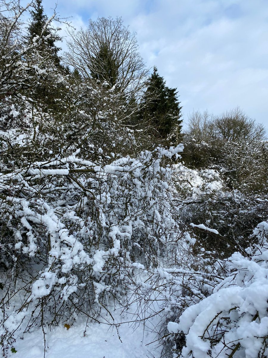 domhall's tweet photo. Northerners, yup London is now ‘scary red alert’ but please ignore that bias.
Look how close the isobars pack, don’t forget the weight of snow, &amp; slope effect. Looks ok still? Our normal 35mph wind just hit 85mph at 400m here.
&amp; we’re way off peak.
#WeatherManforADay
#StormEunice https://t.co/dTdLH28nT5