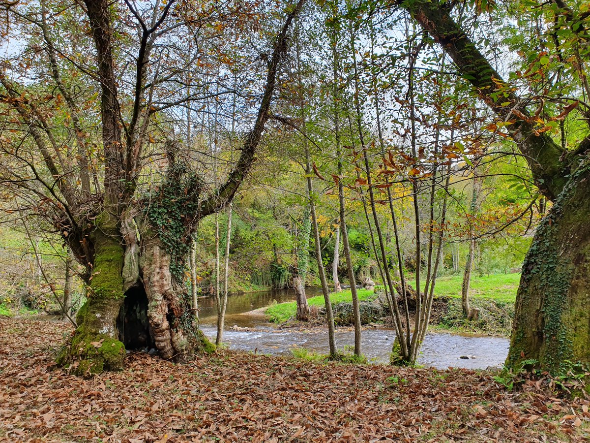 arela_gal's tweet photo. Se tes sensibilidade❤️e interese por proxectos apegados ao #territorio, desenvolvemento #rural, turismo sostible, comercio electrónico e iniciativas con impacto #social. Estamos desexando coñecerte! 
➡️ https://t.co/cAK2JldUEW https://t.co/6jPAusNepX