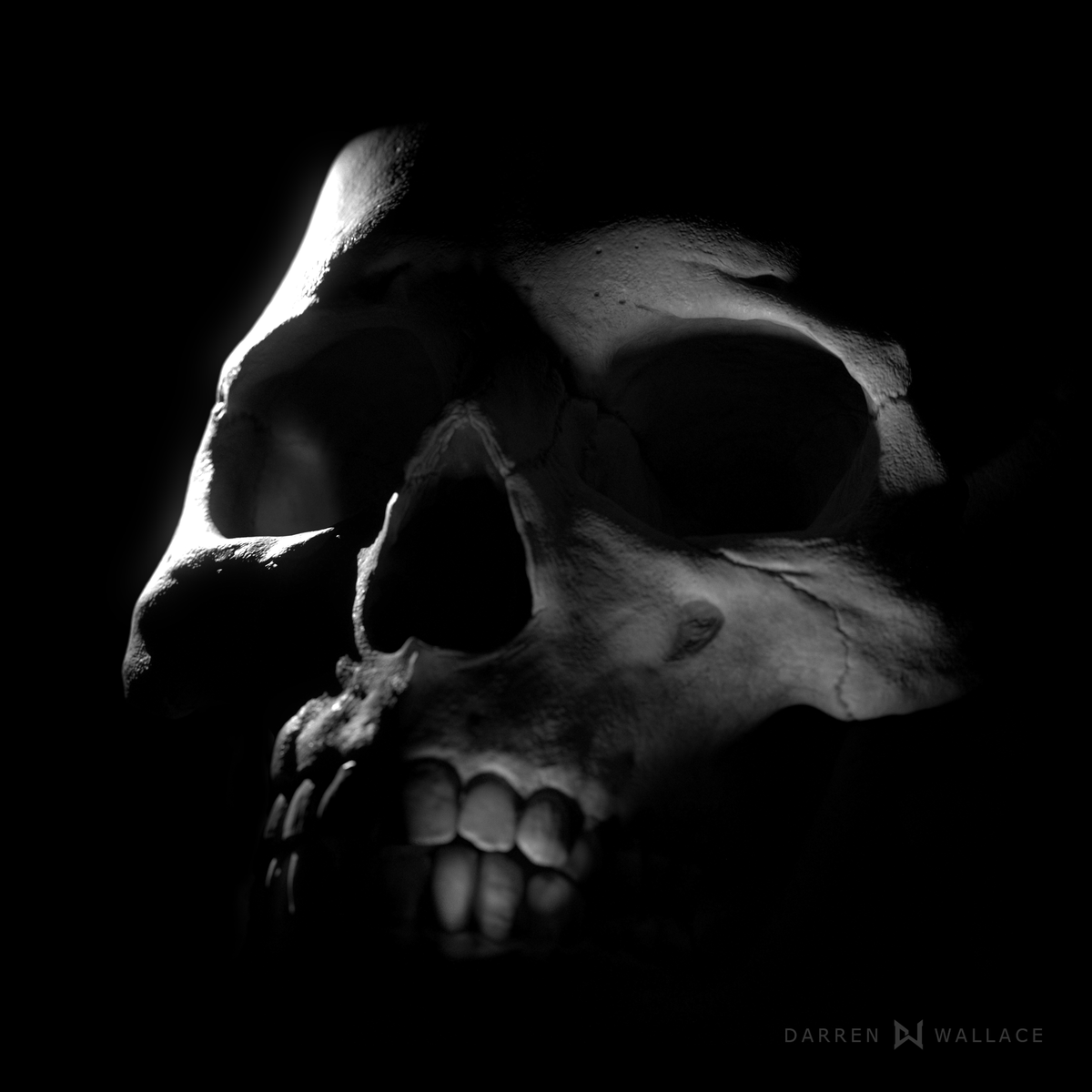 DarrenWallace3d's tweet photo. Mucking around with my skull. 💀#skull #creepy #zbrush #chaosgroup #maya #noir #dead #lighting #blackandwhite #halloween https://t.co/mrSM8dtAyX