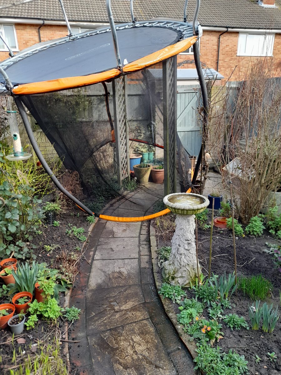 I don't actually own a trampoline but it appears that I have one now!