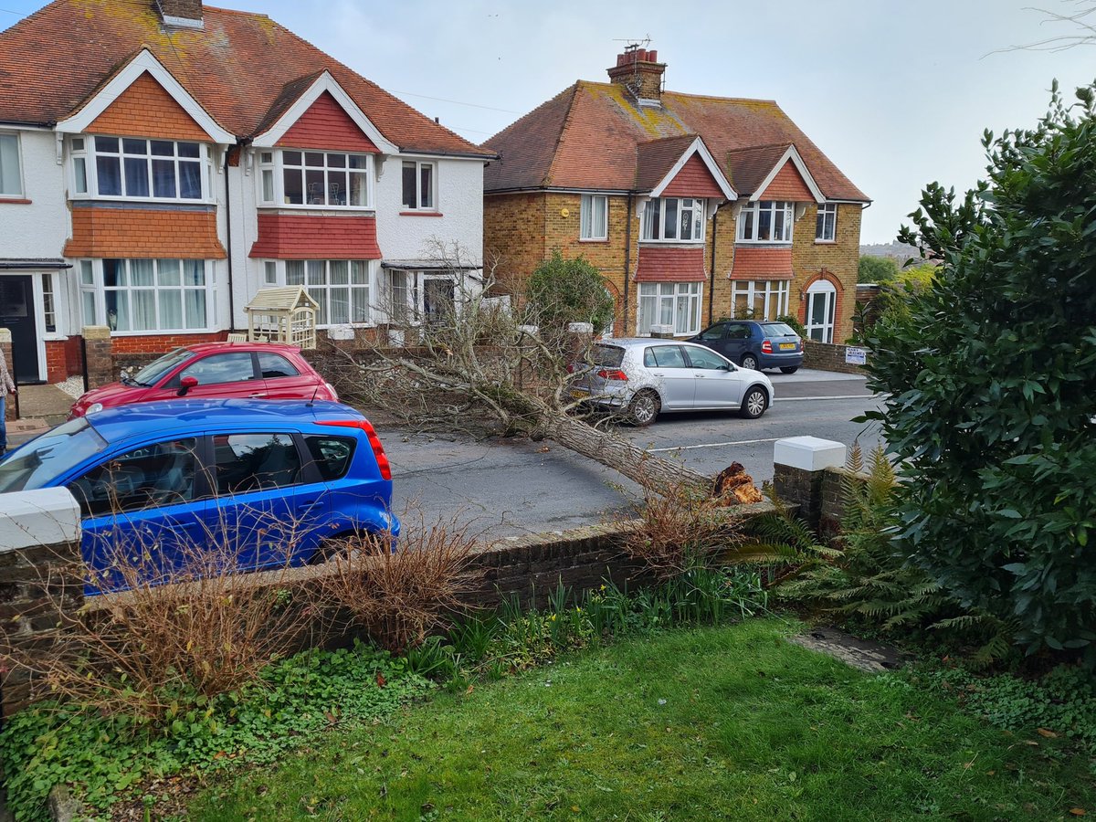 Looks like a lucky escape! #StormEunice . One for the montage @Eastbournenews?