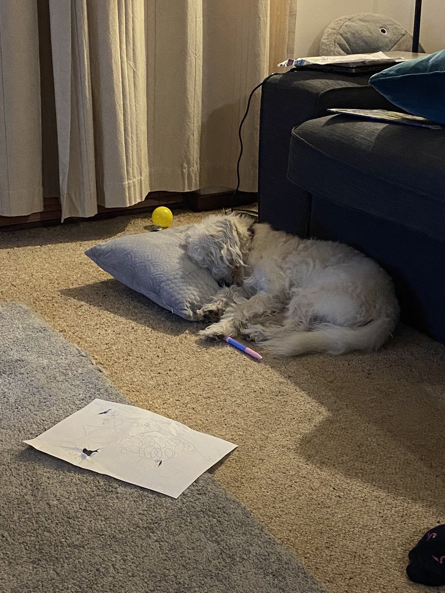 Jeff the Westiepoo tweet media