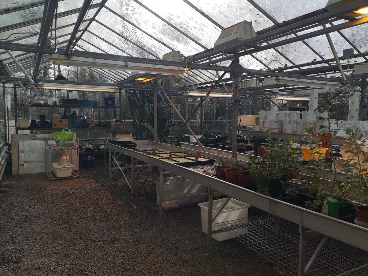 Barbara Doyle Prestwich PhD (@barbaradoylepre) on Twitter photo Storm Eunice easing off & 🌞 back out. As snow fell earlier, managed to sow cabbage, chard, lettuce, rocket & edible marigolds.Preparing for the launch of our university urban tower farm as part of <a href="/PlantDay18May/">Fascination of Plants Day</a> Follow for updates <a href="/uccBEES/">Biological, Earth & Environmental Sciences, UCC</a> <a href="/JennyTwomey/">Jenny Twomey</a> <a href="/SDG2030/">SDG2030</a> <a href="/GlobalPlantGPC/">Global Plant Council</a> Storm Eunice easing off & 🌞 back out. As snow fell earlier, managed to sow cabbage, chard, lettuce, rocket & edible marigolds.Preparing for the launch of our university urban tower farm as part of <a href="/PlantDay18May/">Fascination of Plants Day</a> Follow for updates <a href="/uccBEES/">Biological, Earth & Environmental Sciences, UCC</a> <a href="/JennyTwomey/">Jenny Twomey</a> <a href="/SDG2030/">SDG2030</a> <a href="/GlobalPlantGPC/">Global Plant Council</a>