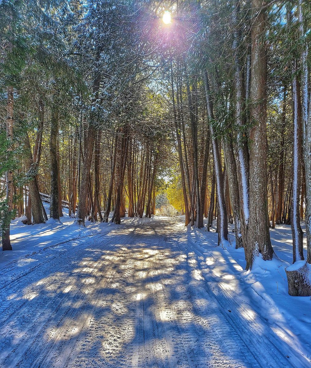 ThreadsMackinac's tweet image. Mackinac Island’s unbridled beauty is an indescribable calming force.

📷 @mimackphotos 

#puremichigan #mackinacisland