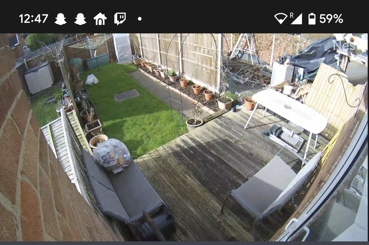 StuartMichael_'s tweet image. I'm out here enjoying the sun. While my garden fly's away