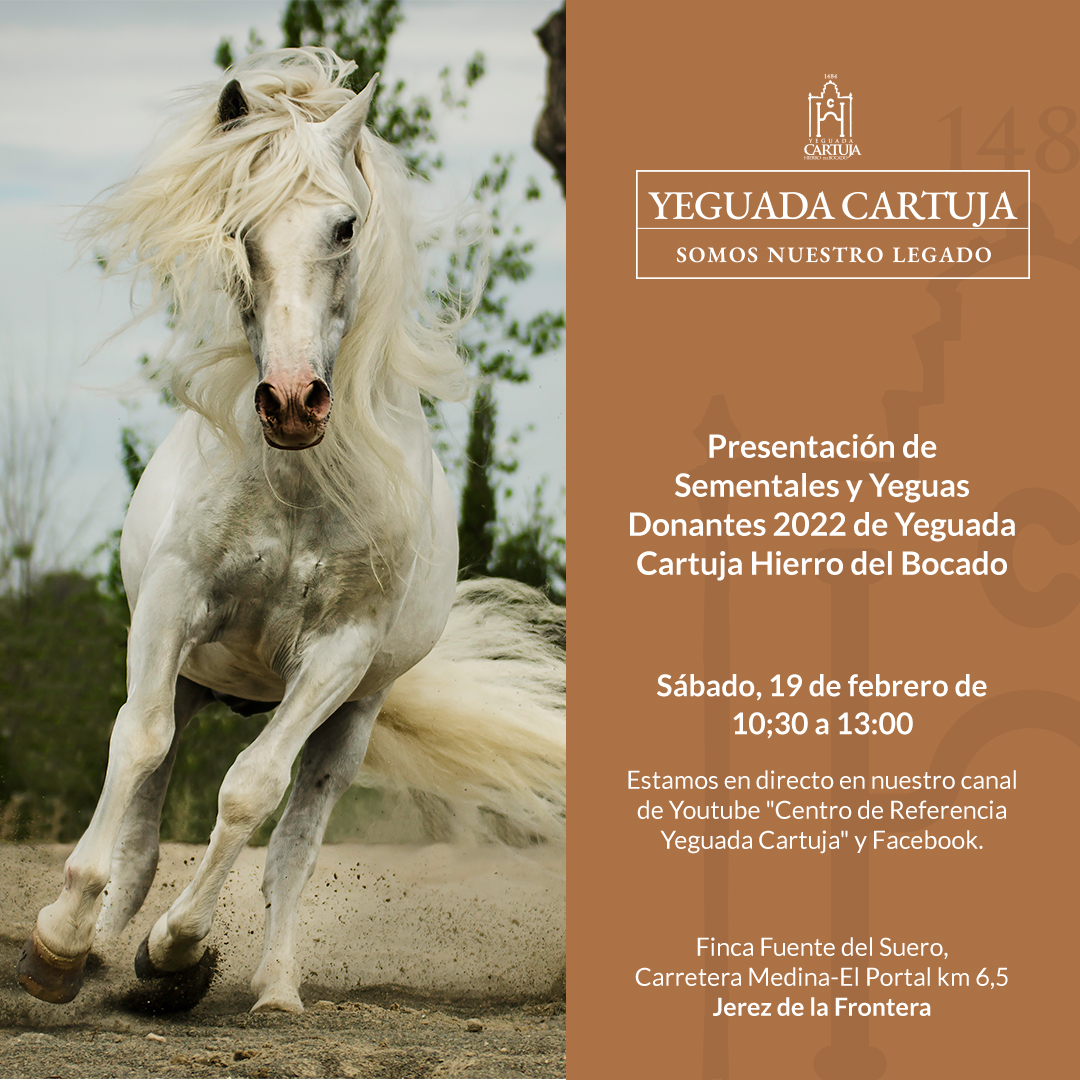 Yeguada_Cartuja's tweet photo. Mañana estaremos en directo en Facebook y YouTube: Centro de Referencia Yeguada Cartuja, la presentación de nuestros #Sementales y #YeguasDonantes. A partir de las 10:30 de la mañana.
¿Te lo vas a perder? #Cartujanos #ReproduccionEquina #SomosNuestroLegado https://t.co/8Gr30OetwW
