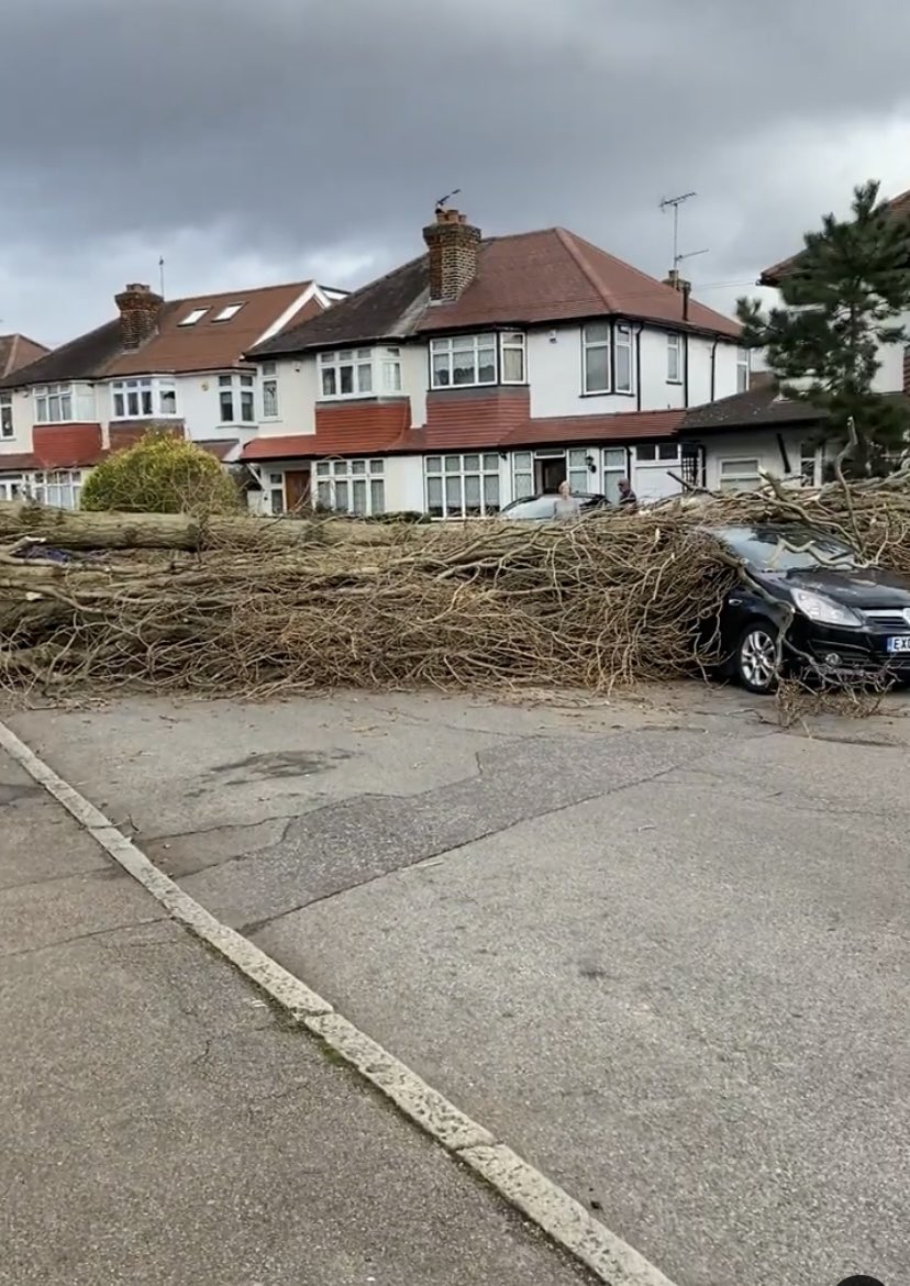 Victoria Antoinette Author tweet media