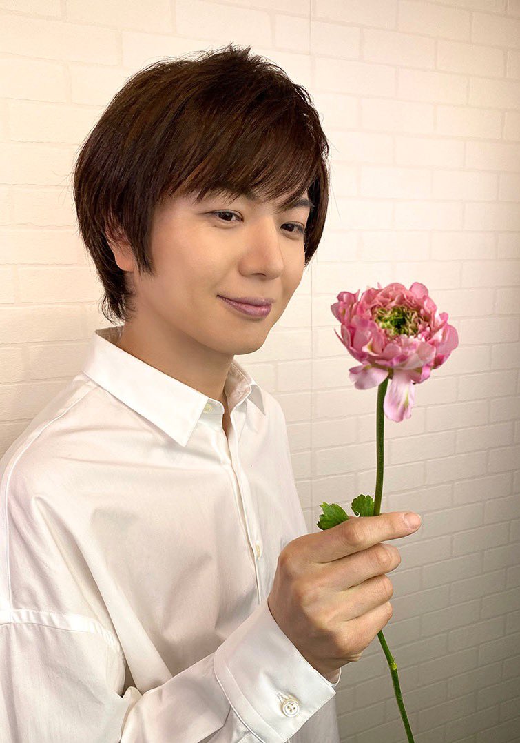 ハナミズキ（花水木）の花言葉と歴史的・文化的意義について, image size:755x1078