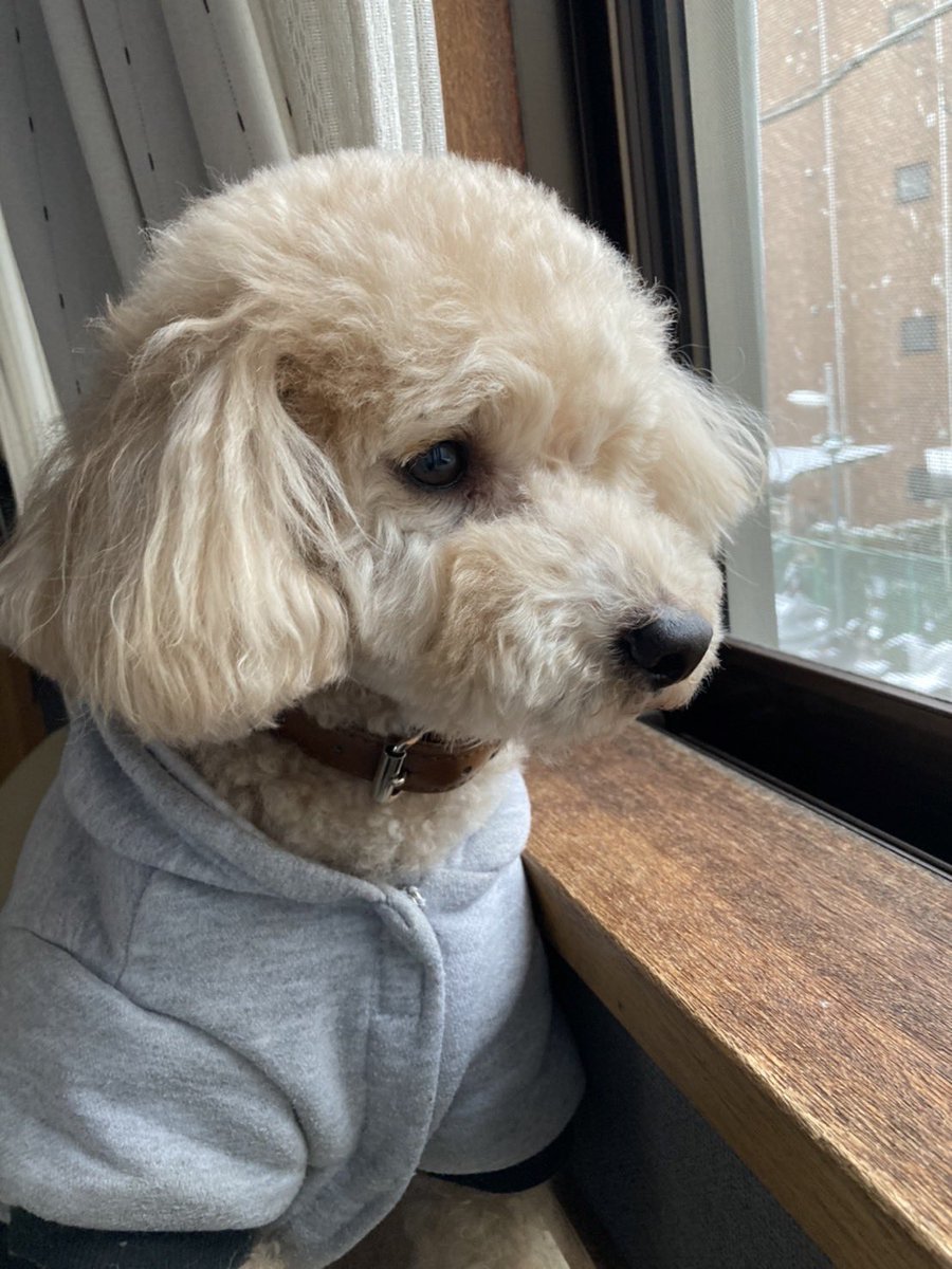 tocch09's tweet photo. 真顔コレクション

😶 https://t.co/zQ8mRrMfLR