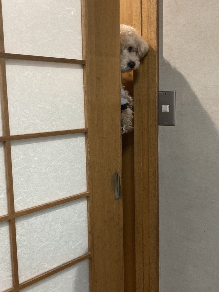 tocch09's tweet photo. 真顔コレクション

😶 https://t.co/zQ8mRrMfLR