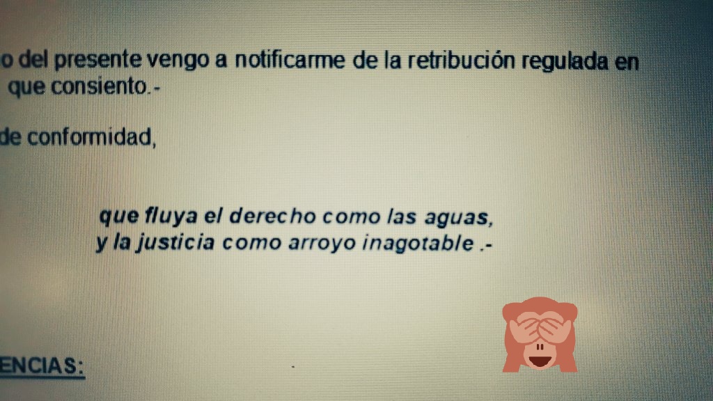 C-brgr tweet media