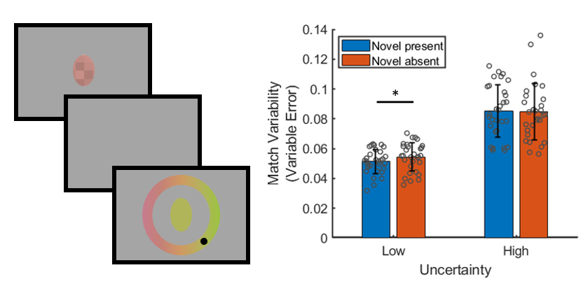 StaceyAston's tweet photo. New preprint just posted with @C_Pattie1 @HSlater7 @UlrikBeierholm and @MarkoNardini  - Newly learned shape-colour associations show signatures of reliability-weighted averaging without forced fusion or a memory colour effect https://t.co/WGaXBnmHy1 https://t.co/OK3ELjPb05