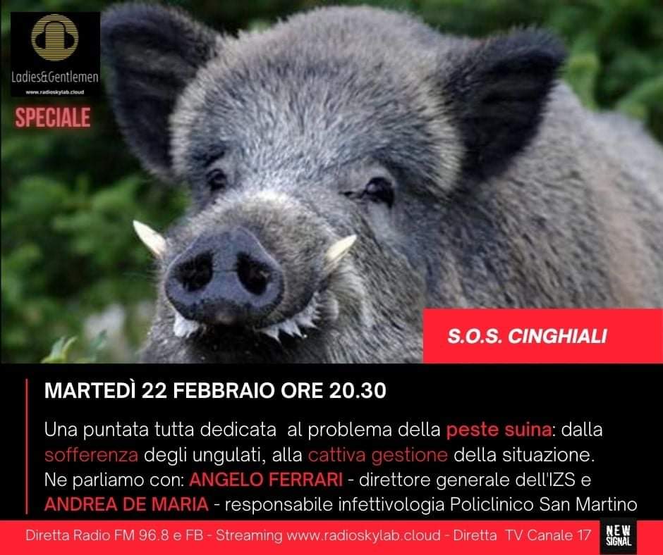 VJannacone's tweet photo. Grazie al prof.Andrea De Maria, e al direttore generale dell'#IZS, Angelo Ferrari risponderemo ai tanti quesiti che ci avete proposto.
In diretta
FM 96.8 per ponente ligure e basso Piemonte
Streaming https://t.co/tOZtupZ53y
Pagina FB
e, x la I volta, #Canale17 #EntellaTV https://t.co/0Az3X8LCzN