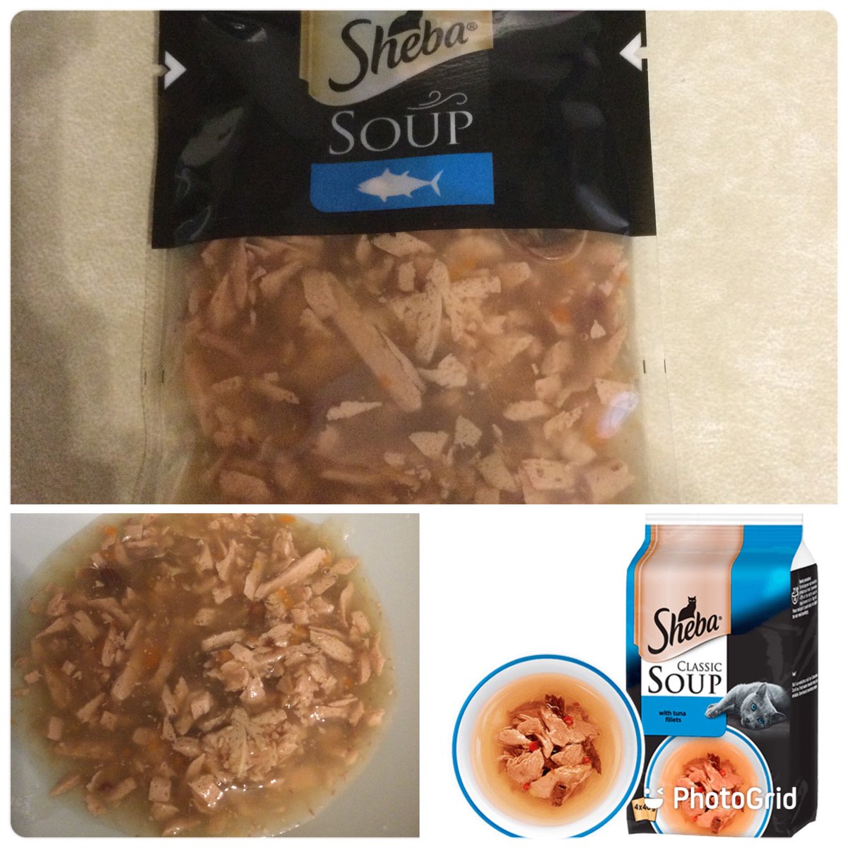 Special K 💙 tweet media