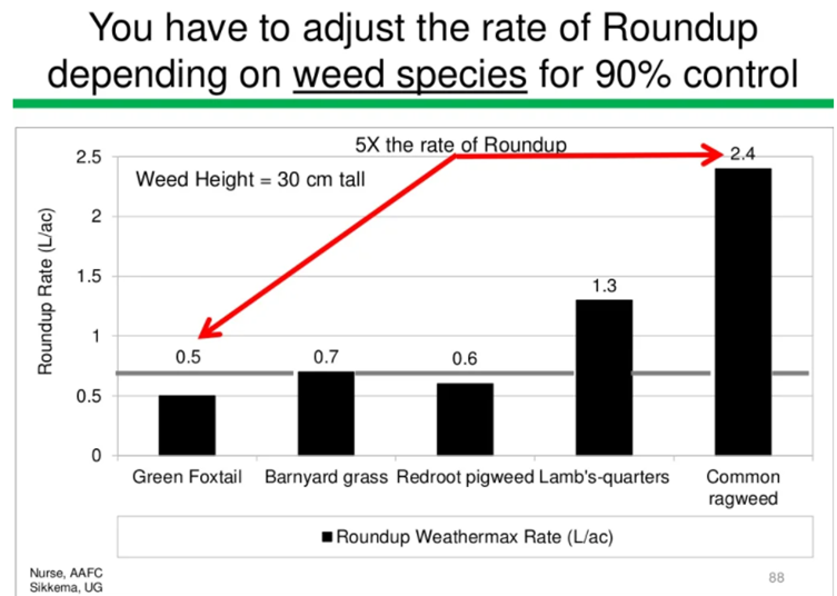 cropdoc2's tweet photo. Many considering using a min label rate of glyphosate due to $$. Several tips from @psikkema1 work to help maintain efficacy (+many others): spray when weeds are small, use rates according to weed spp present, use low water vol, apply 9am-6pm, use quality water. @RidgetownCampus https://t.co/OENbwbX4xC
