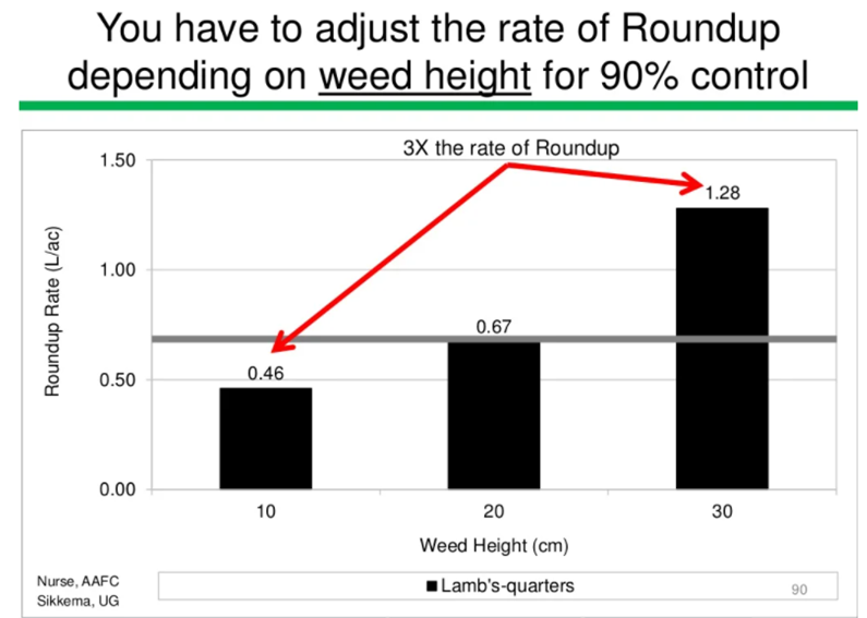 cropdoc2's tweet photo. Many considering using a min label rate of glyphosate due to $$. Several tips from @psikkema1 work to help maintain efficacy (+many others): spray when weeds are small, use rates according to weed spp present, use low water vol, apply 9am-6pm, use quality water. @RidgetownCampus https://t.co/OENbwbX4xC