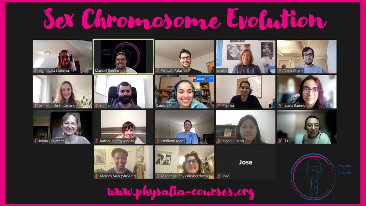 Group picture with the instructors @Aga_Lipi @OMPalacios7 and all participants of our first Sex Chromosome Evolution course! Thank you for joining us this week!🙏 #Genomics #Bioinformatics