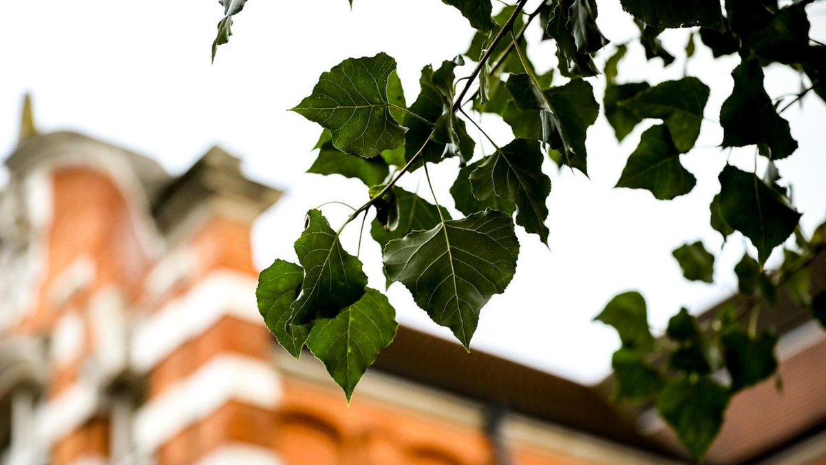 UEL_News's tweet photo. With the red weather warning still in place and some lines into campus suspended, we are advising staff and students to stay safe indoors if you are on campus and to check TFL for updates if you plan to travel. Stay safe and look after yourself!  

#StormEunice https://t.co/Bs8HV00sax