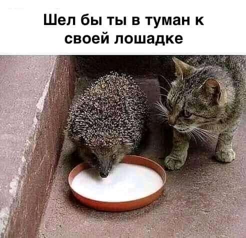 Дайте уж,наконец, нам хлеба!!!,зрелищ с нас-довольно!