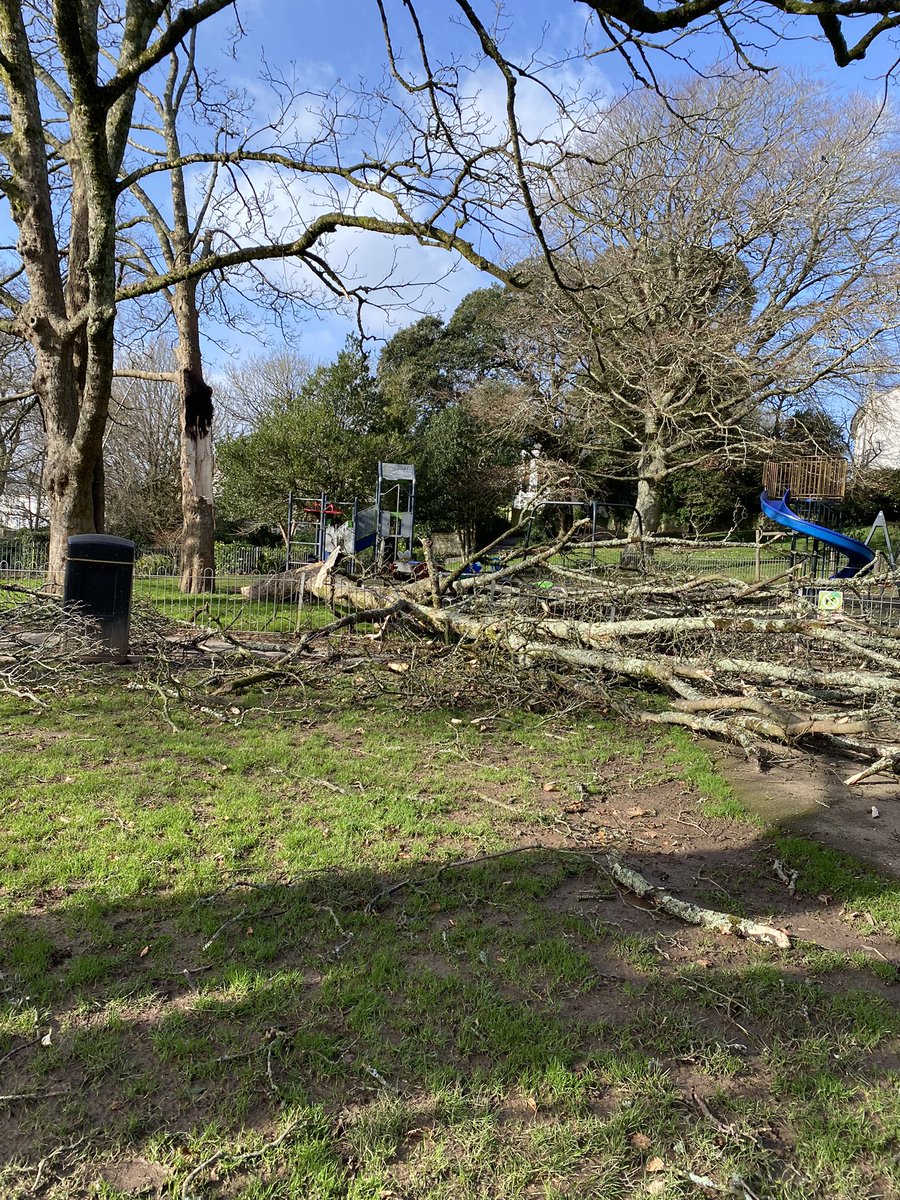 abigaileaton's tweet photo. Quite a few trees down in Plymouth today 💨 🌳 🌳🌳 💨  #StormEunice @plymouthcc  @Plymouth_Live https://t.co/EuVxiBvJdC