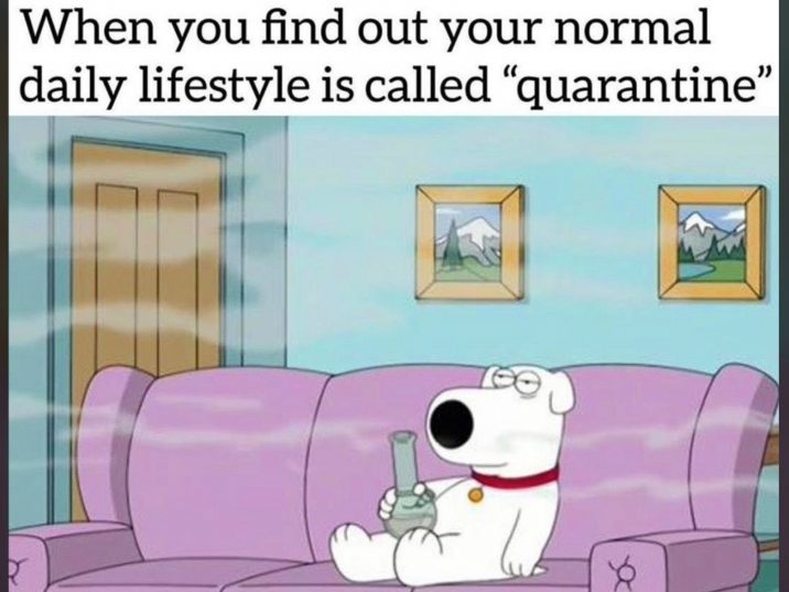 Kool Buds | P2E tweet media