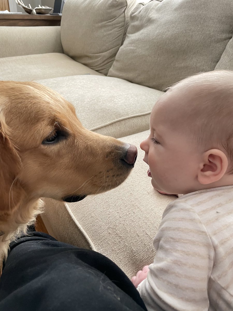 Bryan Stringer tweet media