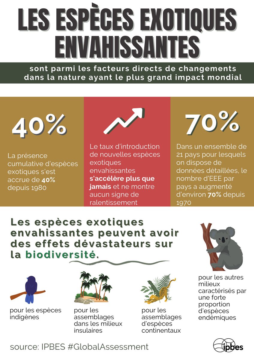 ipbesfr's tweet photo. La nature est en déclin. 🌿

L'évaluation mondiale de l'@IPBES révèle que les #EspècesExotiquesEnvahissantes sont l'un des facteurs directs ayant le plus grand impact mondial.

👉https://t.co/Q5SORFfRrB #GlobalAssessment https://t.co/U2xvlB63MF
