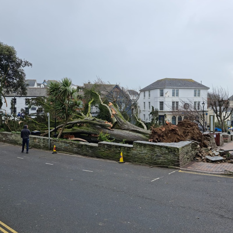 Telegraph's tweet photo. 🔴 Storm Eunice has brought England's highest ever recorded gust of wind of 122mph on the Isle of Wight, the Met Office has said

Follow the latest updates on #StormEunice 👇
https://t.co/IeIDerDH7D