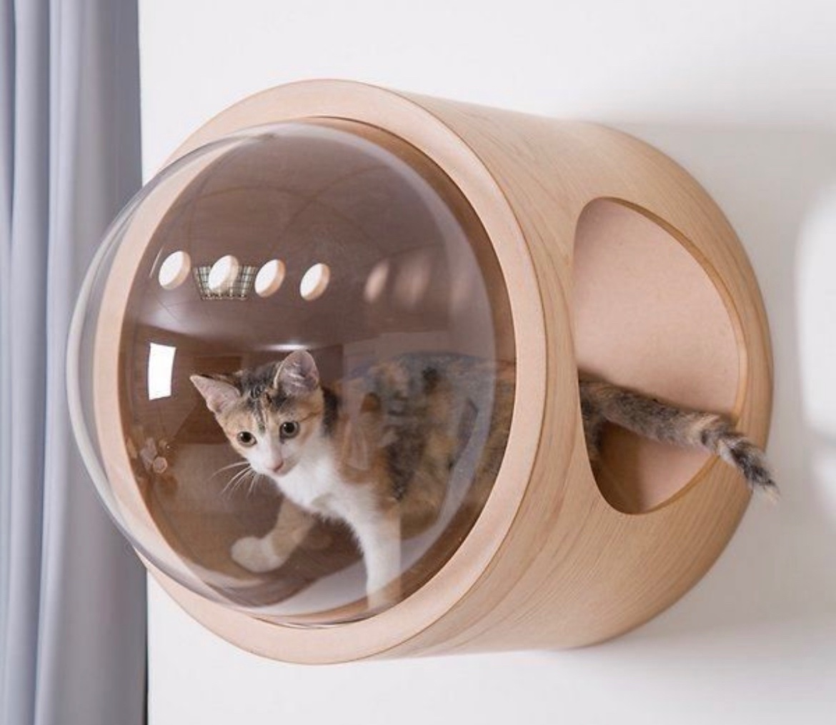 superpixels's tweet photo. I need one of these kitten dispensers https://t.co/Egwrkq2vFz